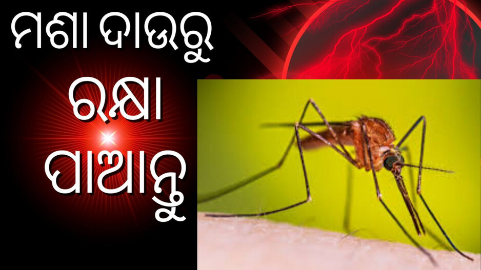 Repel mosquito: ମଶା ଘଉଡେଇବା ପାଇଁ ଆପଣାନ୍ତୁ ଏହି ଘରୋଇ ଉପାୟ