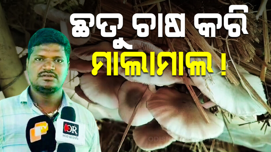 ଛତୁ ଚାଷ ଦେଇଛି ପରିଚୟ; ଆତ୍ମନିର୍ଭର ହେବା ସହ ରୋଜଗାର ଯୋଗାଉଛନ୍ତି ବିଶିକେସନ