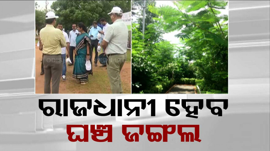 ପାତ୍ରପଡା ରଜ ପଡିଆରେ ଜାପାନର ମିୟାଓ୍ୱାକି ଷ୍ଟାଇଲ୍‌ରେ ହେବ ‘ନଗର ବନ’