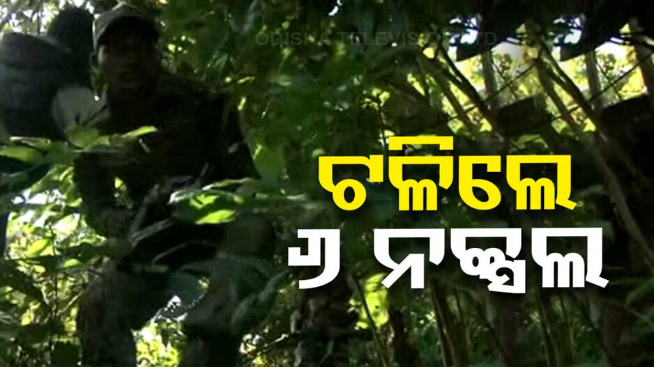 ଯବାନଙ୍କ ଗୁଳିରେ ଟଳିଲେ ୬ ନକ୍ସଲ, ଛତିଶଗଡ଼ ବିଜାପୁର ଜଙ୍ଗଲରେ ଏନକାଉଣ୍ଟର