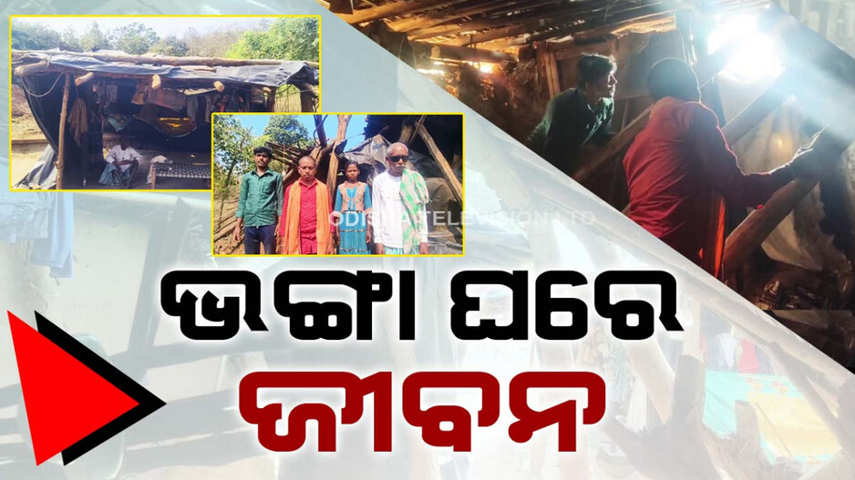 ଭଙ୍ଗା ଘର, ଜରି ପାଲ ତଳେ ଜୀବନ