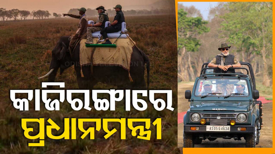 ଜଙ୍ଗଲ ସଫାରୀରେ ପ୍ରଧାନମନ୍ତ୍ରୀ ମୋଦି; ହାତୀ ଉପରେ ବସିଲେ, ଜିପରେ ବୁଲିଲେ