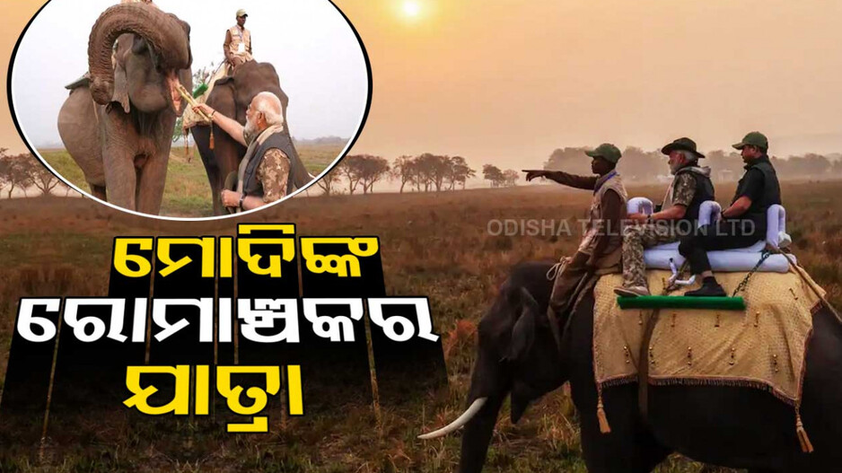 କାଜିରଙ୍ଗା ଜାତୀୟ ଉଦ୍ୟାନରେ ପ୍ରଧାନମନ୍ତ୍ରୀ