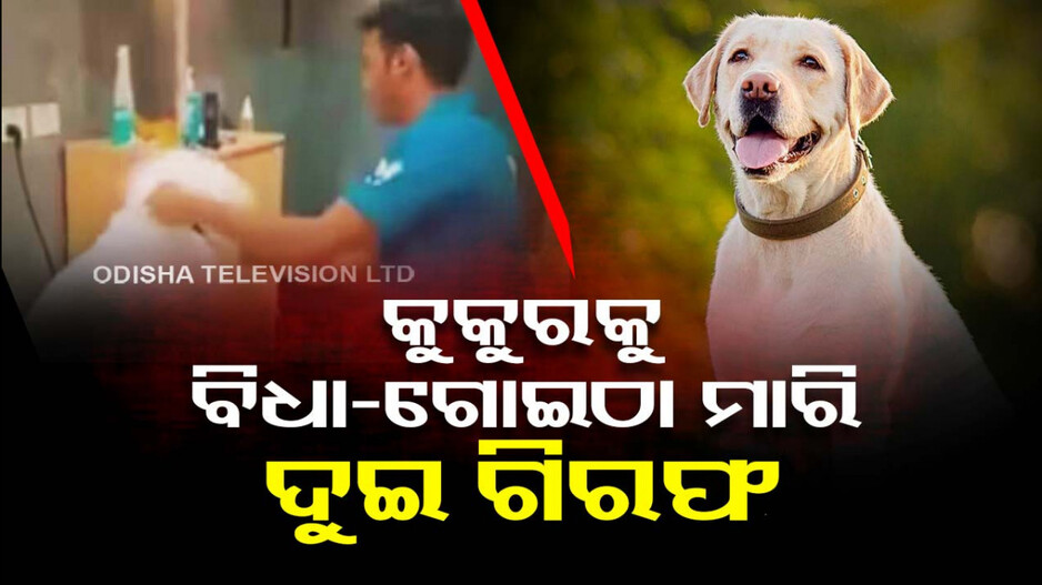 ଗୃହପାଳିତ ପଶୁଙ୍କ ପାଇଁ ଅସୁରକ୍ଷିତ ପେଟ୍‌ କ୍ଲିନିକ୍‌ ! କୁକୁରକୁ ମାଡ଼ ମାରି ଦୁଇ ଗିରଫ