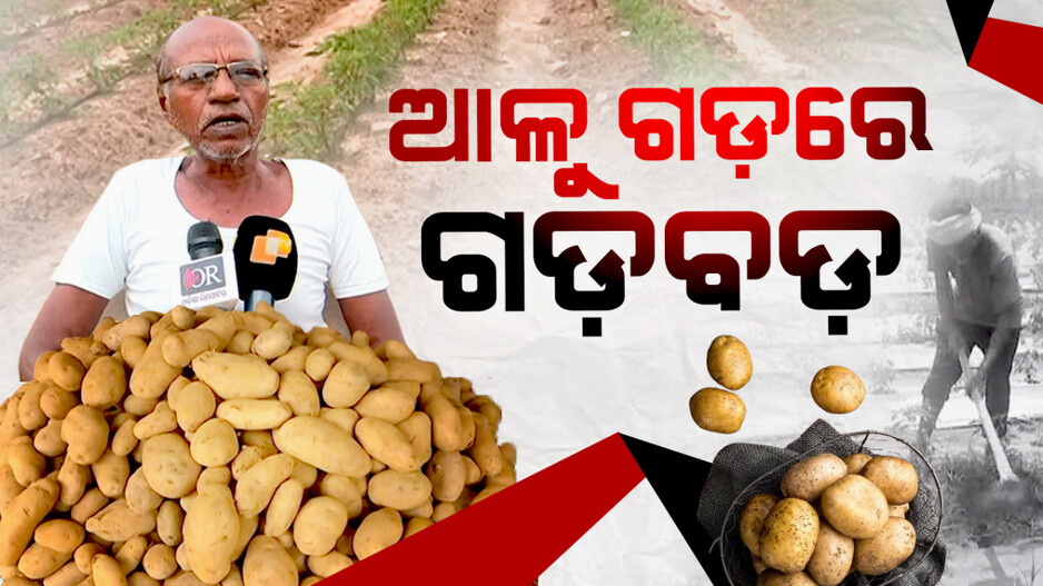 ଆଳୁ ଗଡ଼ରେ ଗଡବଡ