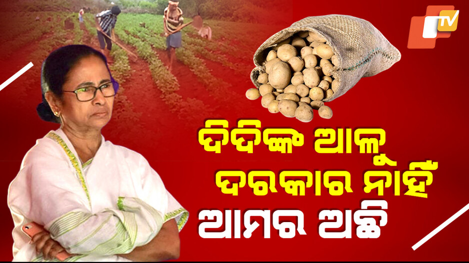 Potato Crisis In Odisha: ଆଉ ହେବନି ଆଳୁ ସଂକଟ ! ନିଜ ଜମିରେ ଆଳୁ ଫଳାଇଲେ କୋରାପୁଟ ଚାଷୀ