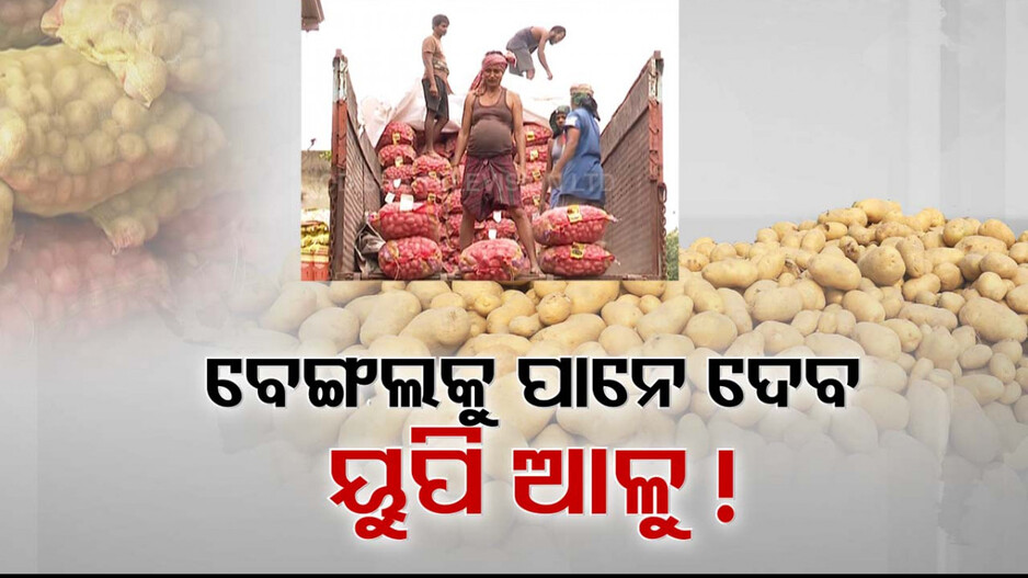 ୟୁପିରୁ ଆଳୁ ଆଣି ଦିଦିଙ୍କୁ ଚେକ୍; ଓଡ଼ିଶାକୁ ଆଉ ନାଲି ଆଖି ଦେଖାଇପାରିବନି ବେଙ୍ଗଲ...