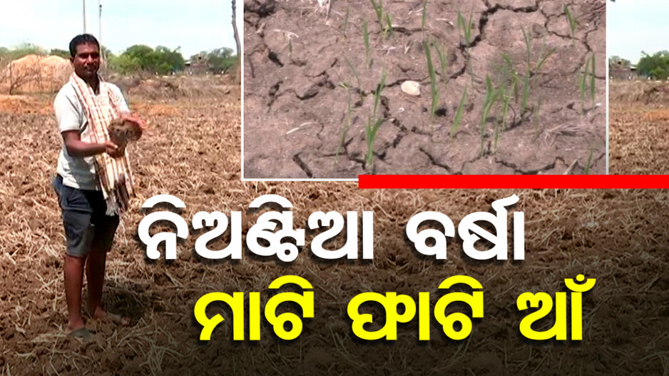 ଆଷାଢରେ ବୈଶାଖର ତାତି, ବଲାଙ୍ଗିରରେ ଗଜା ମରୁଡି !!