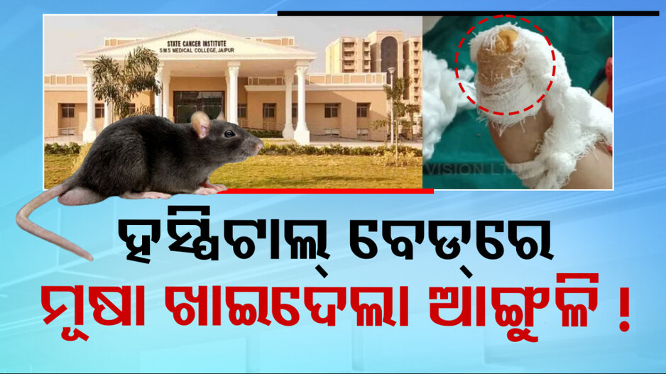 Rat Nibbled off Thumb: କ୍ୟାନସର ସହ ଯୁଝୁଥିଲା କୁନି ପୁଅ; ହସ୍ପିଟାଲ୍‌ରେ ଆଙ୍ଗୁଳି କାମୁଡି ଖାଇଲା ମୂଷା, ଚାଲିଗଲା ଜୀବନ !