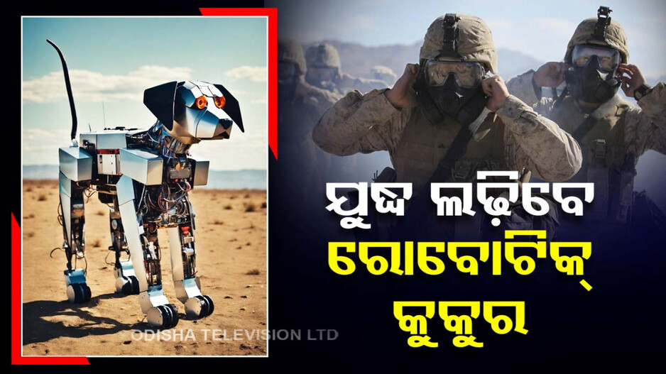 ଯୁଦ୍ଧରେ ସାମିଲ ହେବେ ରୋବୋଟ, ଚିନ୍ତାରେ ପୂରା ବିଶ୍ୱ; କ'ଣ ହେବ ଭବିଷ୍ୟତ ?