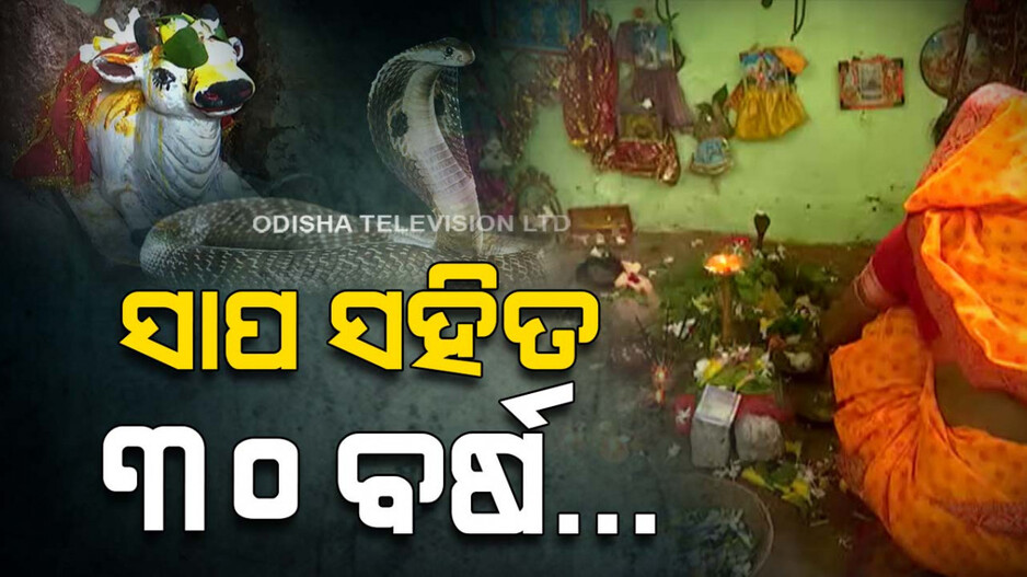 ସାପ ସହ ୩୦ ବର୍ଷ