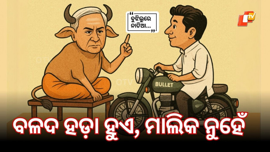 Politics In Satire: ସତରେ କଣ ରାଜନୀତିରେ ଏଇଆ ହୁଏ, ବଳଦ ହଡ଼ା ହୁଅନ୍ତି, ମାଲିକ ନୁହଁ !