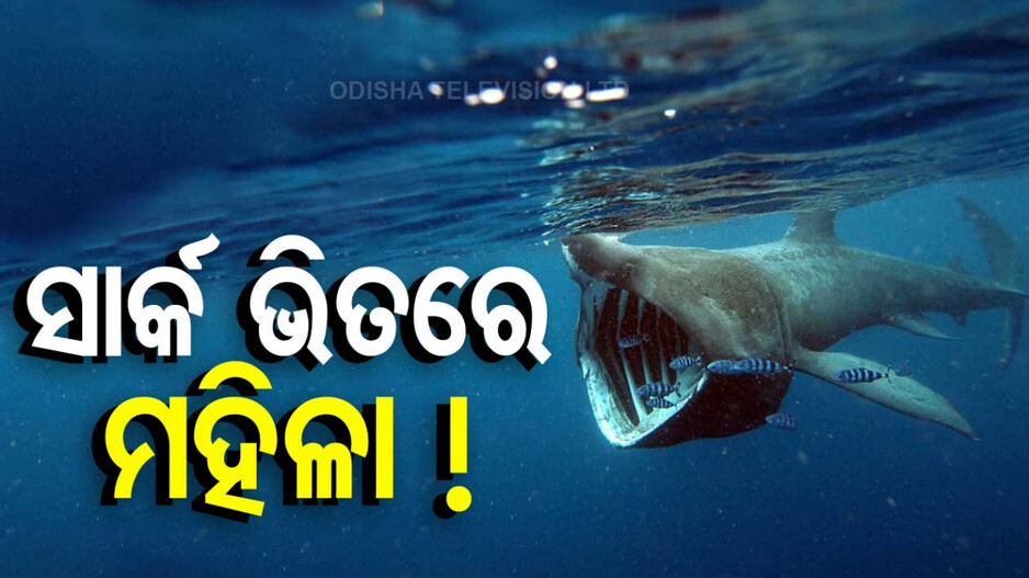 ସାର୍କ ପେଟରୁ ବାହାରିଲା ନିଖୋଜ ମହିଳାଙ୍କ… !! ଶୁଣିଲେ ଉଡ଼ିଯିବ ହୋସ୍