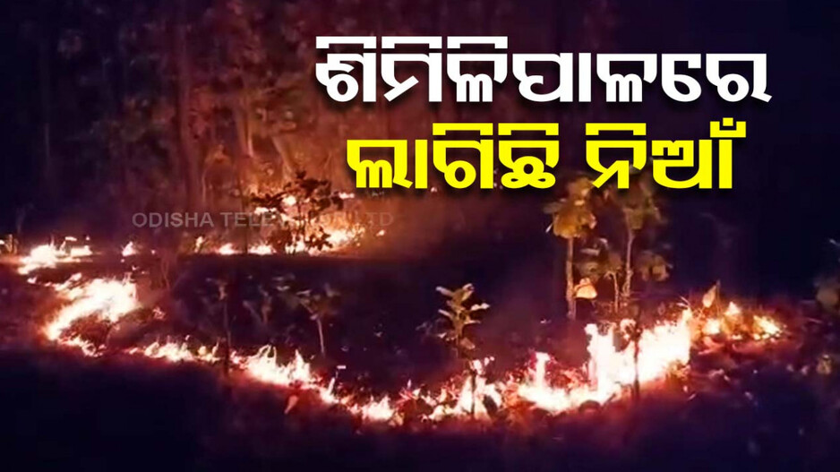 ଶିମିଳିପାଳରେ ଲାଗିଛି ନିଆଁ, ହୁତ୍‌ ହୁତ୍‌ ହୋଇ ଜଳୁଛି ଜଙ୍ଗଲ