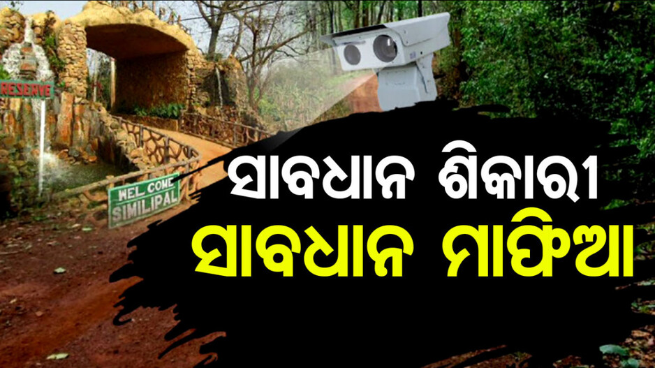 ଭାରତରେ ପ୍ରଥମ ! ଶିମିଳିପାଳରେ ଶିକାରୀଙ୍କୁ ଧରିବ AI କ୍ୟାମେରା, ଜଙ୍ଗଲରେ ଲାଗିବ ଟାୱାର