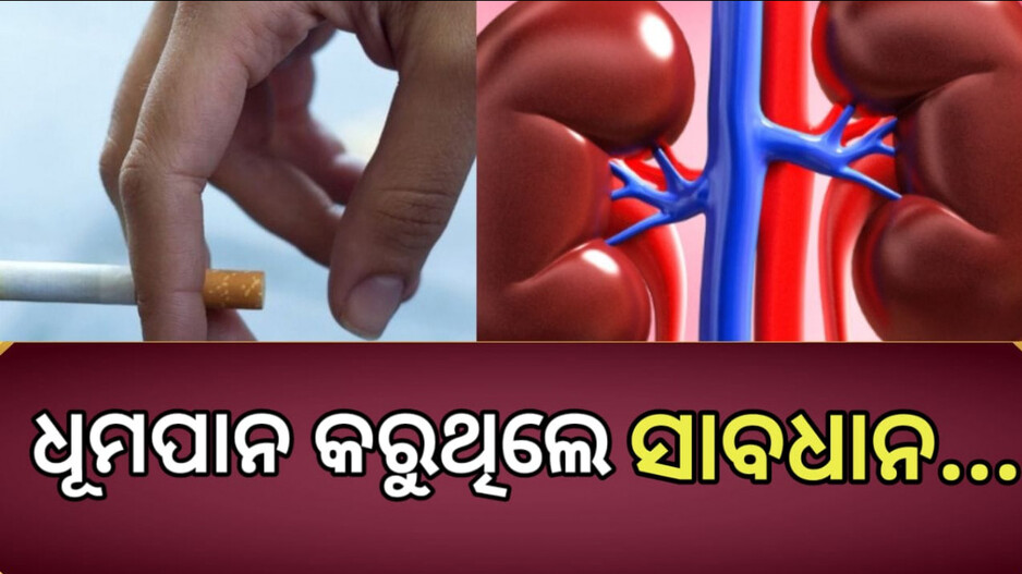 Smoking Bad Effect: ଧୂମପାନ କରୁଥିଲେ ଫୁସ୍‌ଫୁସ୍‌ ସହ ୫ ଅଙ୍ଗ ହୋଇଯିବ ନଷ୍ଟ
