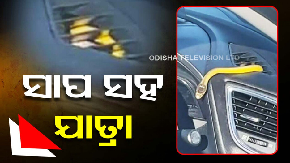 ଚାଲୁଥିଲା ଗାଡ଼ି, ହଠାତ୍ କାର୍‌ର ଏସି ଜାଲି ଭିତରୁ ବାହାରିଲା ସାପ..ଆଉ ତା’ପରେ…