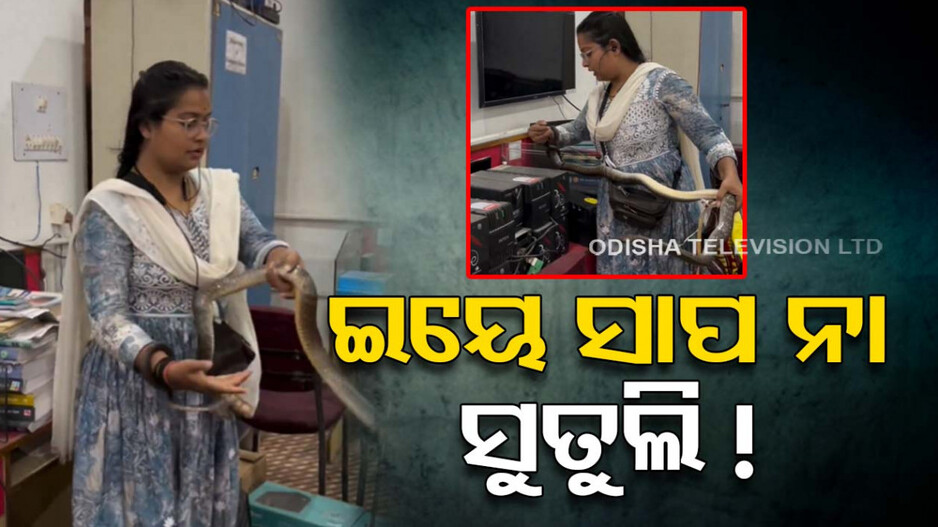 VIDEO: ଅଫିସ୍ ଭିତରୁ ସାପକୁ ଭିଡ଼ିନେଲେ ମହିଳା କର୍ମଚାରୀ, ଭାଇରାଲ ହେଲା ଭିଡିଓ; ଦେଖନ୍ତୁ ...