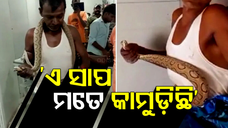 ଚୋଟ ମାରିବା ପରେ ସାପକୁ ହାତରେ ଧରି ହସ୍ପିଟାଲ୍‌ରେ ପହଞ୍ଚିଲେ ଏହି ବ୍ୟକ୍ତି; ସମସ୍ତେ ଆଶ୍ଚର୍ଯ୍ୟ
