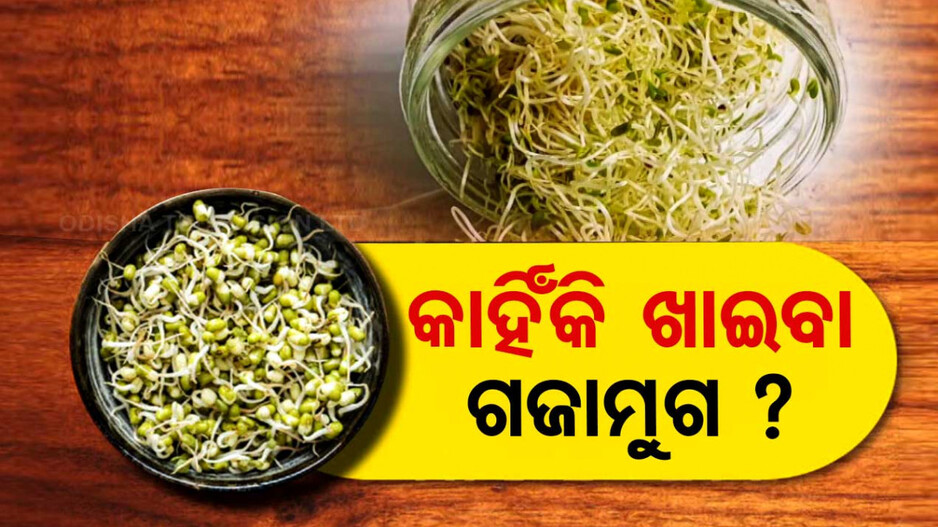 ଆସନ୍ତୁ ଜାଣିବା ଗଜାମୁଗର ଉପକାରିତା କଣ ?
