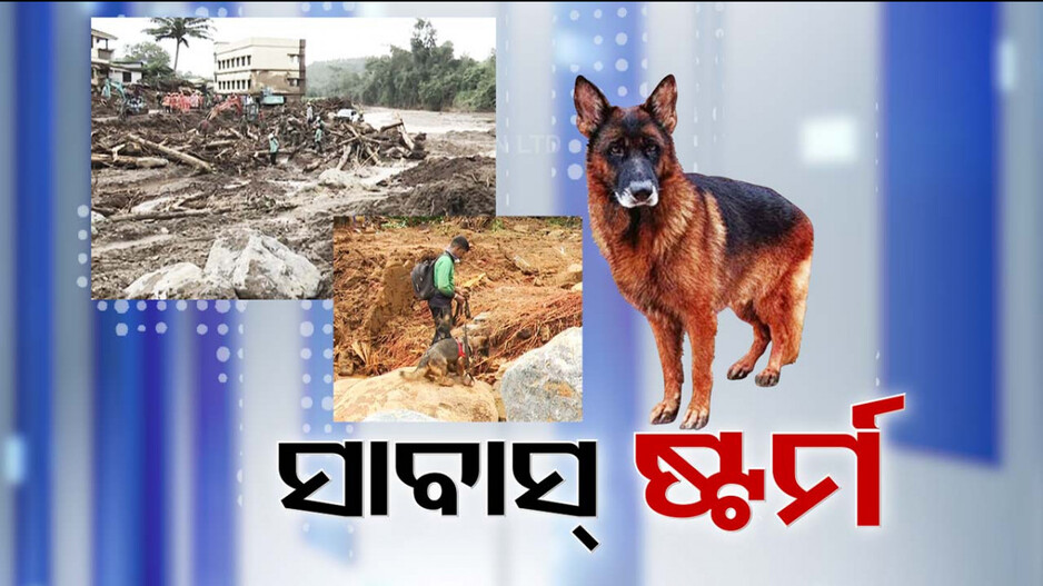 ନାଁ ଯେମିତି, ତୁଫାନୀ ଅନ୍ଦାଜରେ କାମ ବି ସେମିତି ! ୱାୟନାଡ୍ ଅପରେସନ୍ ସାରି ଫେରିଲା ଷ୍ଟର୍ମ