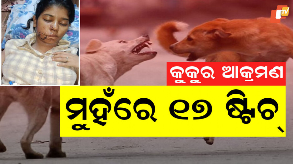 Dog Attack Student: ଛାତ୍ରୀଙ୍କ ଗାଲ ଦି ଫାଳ କରିଦେଲେ ବୁଲା କୁକୁର, ଗୋଡେଇ ଗୋଡେଇ କାମୁଡିଲେ