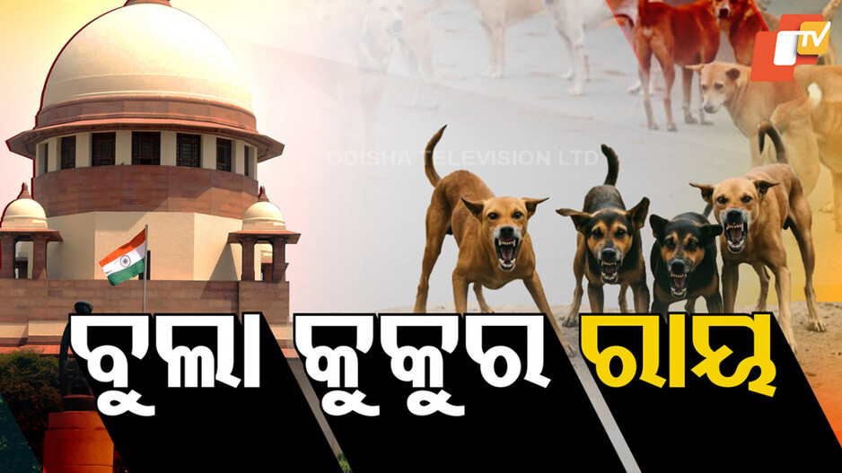 SC Modifies Stray Dog Policy: ବୁଲା କୁକୁର ପ୍ରସଙ୍ଗରେ ସୁପ୍ରିମ ରାୟ; ବନ୍ଧ୍ୟାକରଣ କରି ରାସ୍ତାରେ ଛାଡ