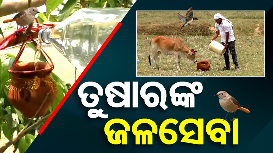 ସାବାସ୍  ତୁଷାର...ମୁଣ୍ଡଫଟା ଖରାରେ ବୁଲି ବୁଲି ବୁଲା ପଶୁପକ୍ଷୀଙ୍କୁ ଜଳଦାନ କରିବା ଯାହାଙ୍କ ନିଶା...