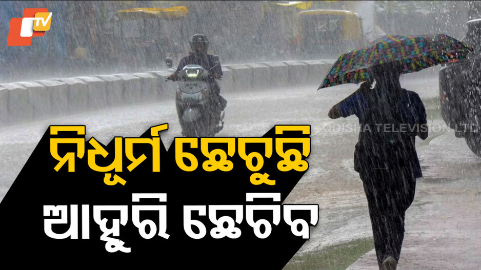Heavy Rain Alert: ଆସୁଛି ବଡ଼ ବର୍ଷା : ୭ ଜିଲ୍ଲାକୁ ୟେଲୋ ୱାର୍ଣ୍ଣିଂ