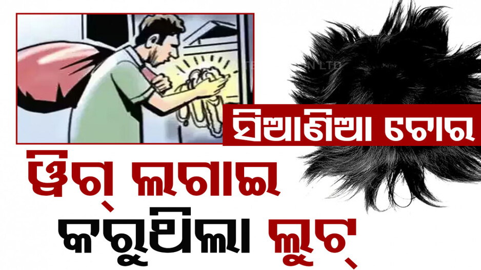 ଛଦ୍ମବେଶୀ ଚୋର... ମୁଣ୍ଡରେ ନଥିଲା ଚୁଟି, ୱିଗ୍‌ ଲଗାଇ କରୁଥିଲା ଚୋରି