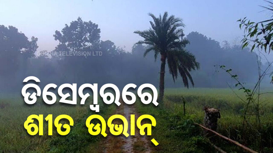 Warmer Winter: ଲୁଚକାଳି ଖେଳୁଛି ଶୀତ; ଡିସେମ୍ୱରରେ ବି ଦେଖାନାହିଁ