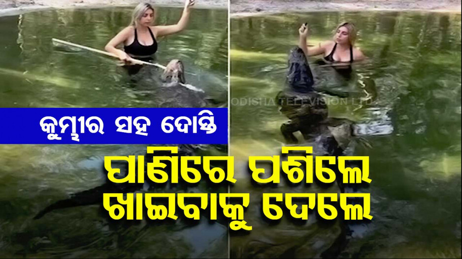 ପୋଖରୀରେ ଥିଲା କୁମ୍ଭୀର, ହଠାତ୍ ବାଡି ଧରି ପଶିଗଲେ ମହିଳା; ଆଶ୍ଚର୍ଯ୍ୟ କରିବ ଭିଡିଓ