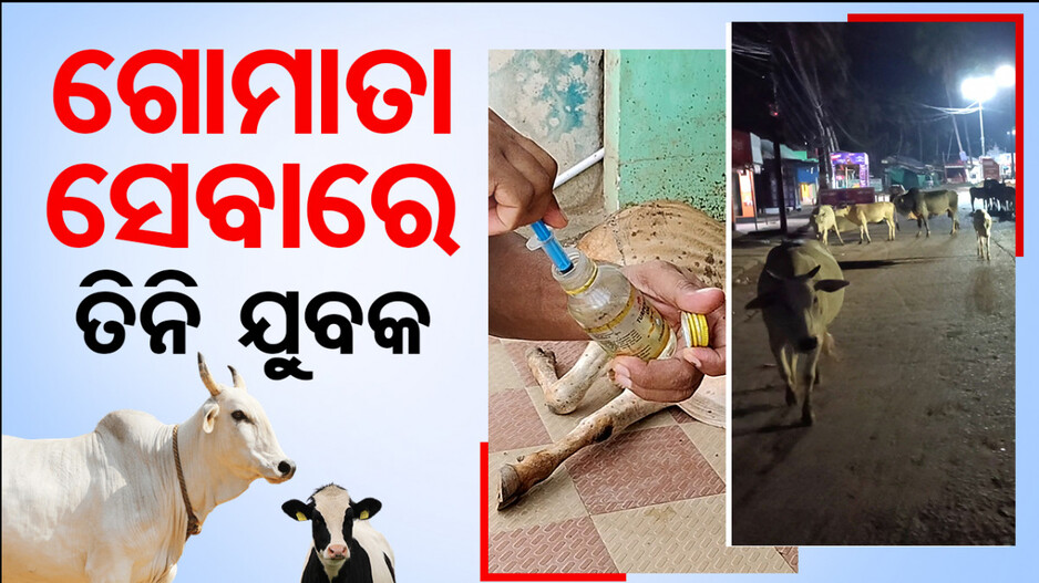 ଗୋମାତା ସେବାରେ  ତିନି ଯୁବକ