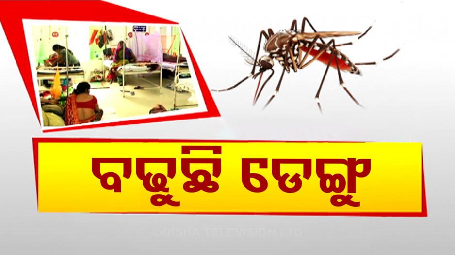 ବଢି ଚାଲିଛି ଡେଙ୍ଗୁ ଆକ୍ରାନ୍ତଙ୍କ ସଂଖ୍ୟା, ଚାରି ମାସରେ ୧୦୨ ରୋଗୀ ଚିହ୍ନଟ
