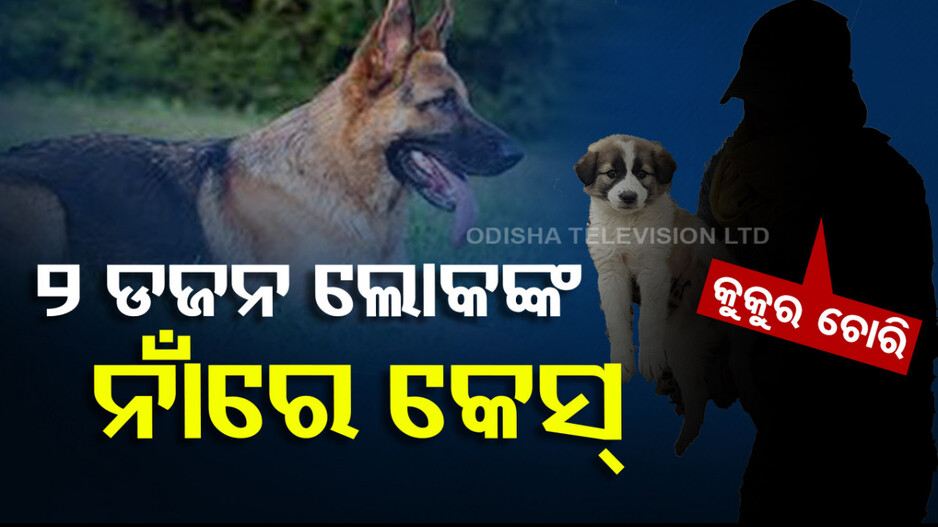 ଜଜ୍‌ଙ୍କ ଘରୁ କୁକୁର ଗାଏବ; ୨୪ରୁ ଅଧିକ ଲୋକଙ୍କ ନାଁରେ ରୁଜୁ ହେଲା ମାମଲା