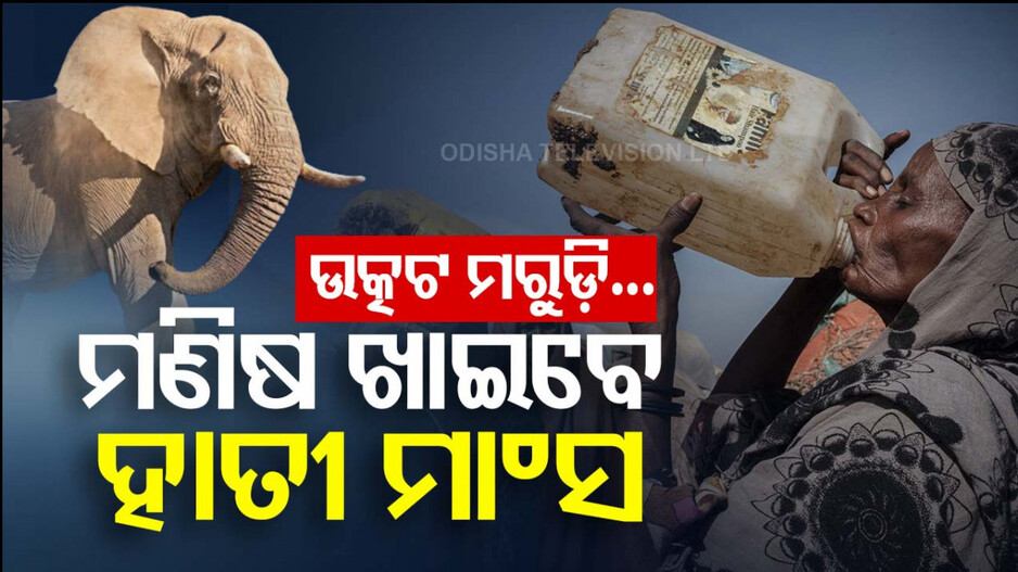 ନାମ୍ୱିଆରେ ଖାଦ୍ୟ ପାଇଁ ହା ହା କାର; ଭୋକ ମେଣ୍ଟାଇବା ପାଇଁ ମରାହେବେ ୭୨୩ ବନ୍ୟଜନ୍ତୁ