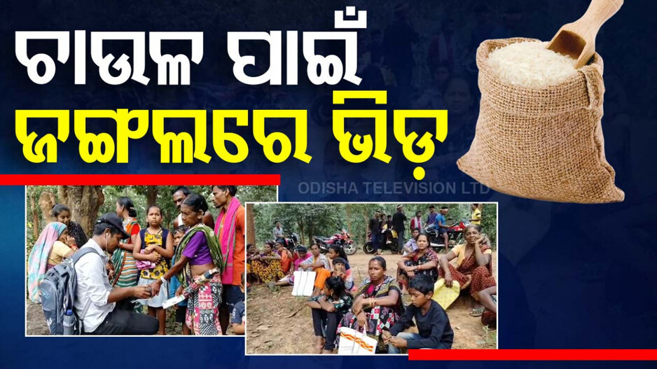 ଚାଉଳ ପାଇଁ ଜଙ୍ଗଲରେ ଭିଡ଼, ପିଲାଠୁ ବୁଢା ଧାଉଁଛନ୍ତି ସମସ୍ତେ