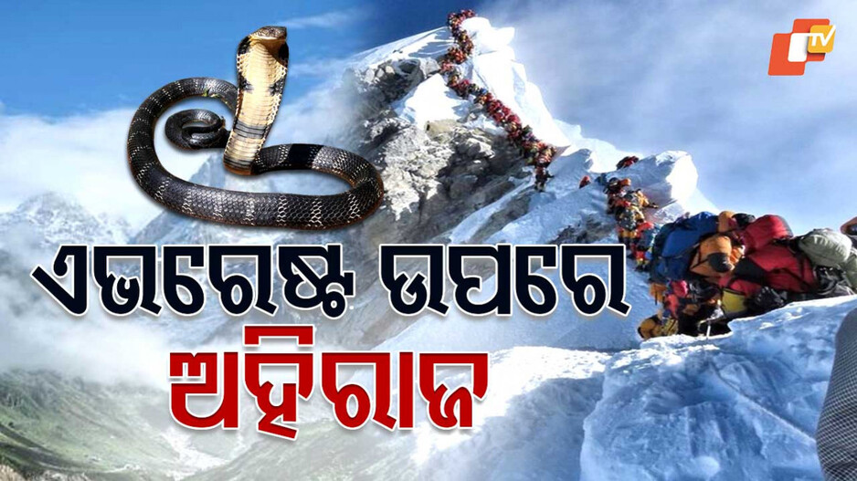 Snake on Mt Everest: ଧ୍ୱଂସ ହେବାକୁ ଯାଉଛି କି ପୃଥିବୀ, ହିମାଳୟ ଶିଖରରୁ ଅହିରାଜ ଉଦ୍ଧାର