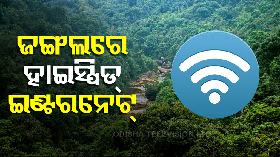 Internet: ଗାଁରୁ ସହର, ସହରରୁ ଗାଁ...ସବୁଠି ଘାଇଁ ଘାଇଁ ଚାଲିବ ଇଣ୍ଟରନେଟ୍