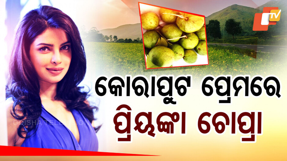 କୋରାପୁଟ ପ୍ରେମରେ ପ୍ରିୟଙ୍କା ଚୋପ୍ରା