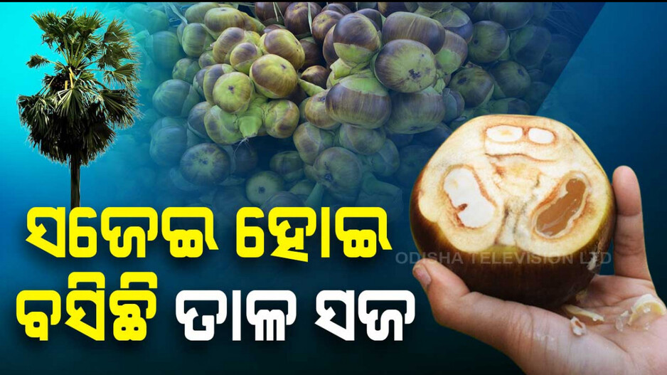 ସଜେଇ ହୋଇ ବସିଛି ତାଳ ସଜ
