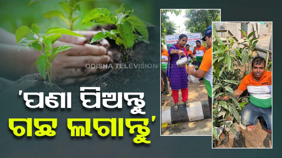 ‘ଗଛଟିଏ କେବଳ ଲଗେଇଦେଲେ ହବନି, ତାକୁ ବଂଚେଇ ରଖିବା ସବୁଠୁ ବଡ଼ ଆହ୍ୱାନ’