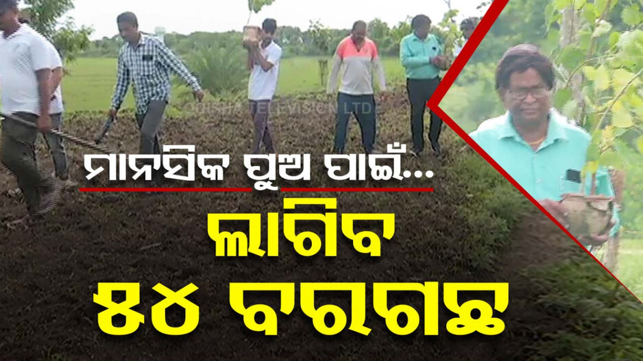 ଗଛ ଲଗାଇଲେ, ଘଟିଲା ଚମତ୍କାର; ଅସୁସ୍ଥ ରହୁଥିଲା ପୁଅ, ହେଲା ସୁସ୍ଥ