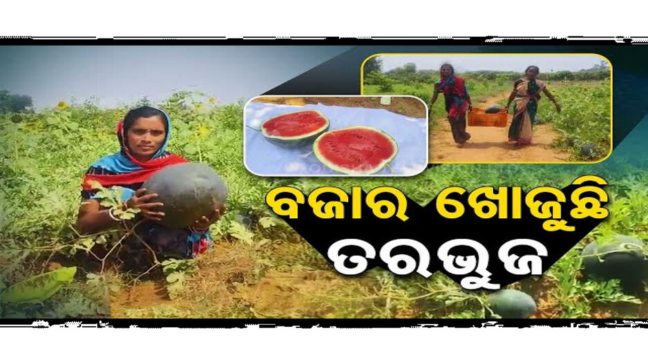 ବଜାର ଖୋଜୁଛି ତରଭୁଜ