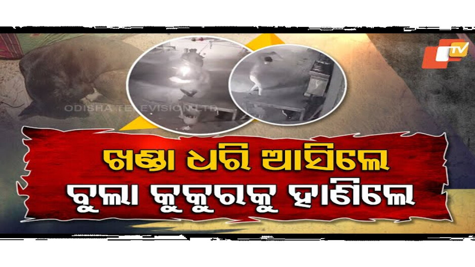 ରାସ୍ତା କଡ଼ରେ ଶୋଇଥିବା କୁକୁରକୁ ଖଣ୍ଡାରେ ହାଣିଛନ୍ତି ୮ ଜଣ ଯୁବକ