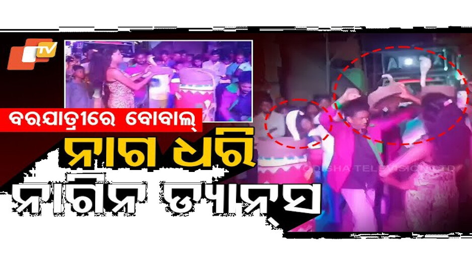 ମୁଣ୍ଡରେ ସତ ସତିକା ନାଗକୁ ଧରି ନାଗିନ୍ ଡ୍ୟାନ୍ସ କରୁଥିଲେ ବରଯାତ୍ରୀ