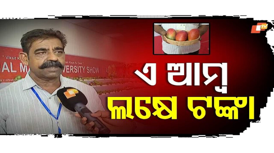 ଆମ୍ବ ଦାମ୍ ଶୁଣିଲେ ହୋସ୍ ଉଡିଯିବ