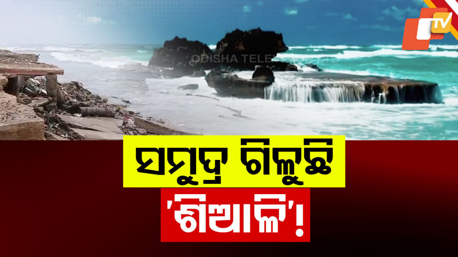ସମୁଦ୍ର ଗିଳୁଛି ଶିଆଳି!