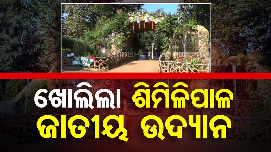 ‘ଦାନା’ ଯିବା ପରେ ପୁଣି ଖୋଲିଲା ଶିମିଳିପାଳ, ପ୍ରକୃତିର ମଜା ଉଠାଇବେ ପର୍ଯ୍ୟଟକ