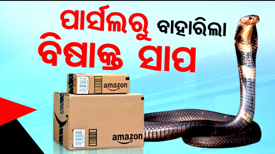 ପାର୍ସଲ ଭିତରେ ଜୀଅନ୍ତା ନାଗ ସାପ